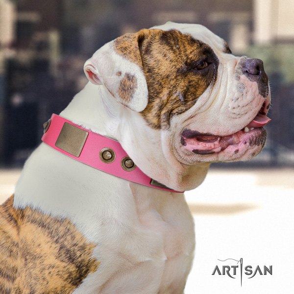 American Bulldog handy use leather collar with studs for your doggie