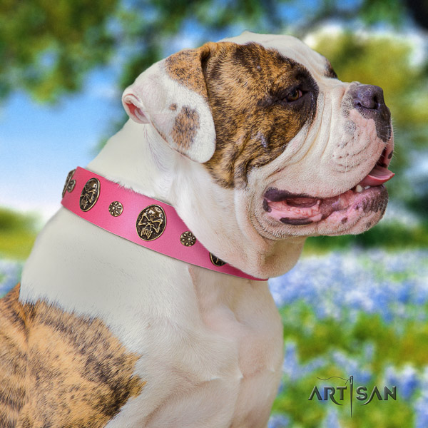 American Bulldog everyday walking full grain leather collar with decorations for your four-legged friend