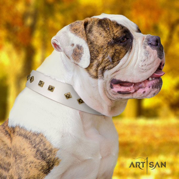 American Bulldog decorated genuine leather dog collar with unusual embellishments