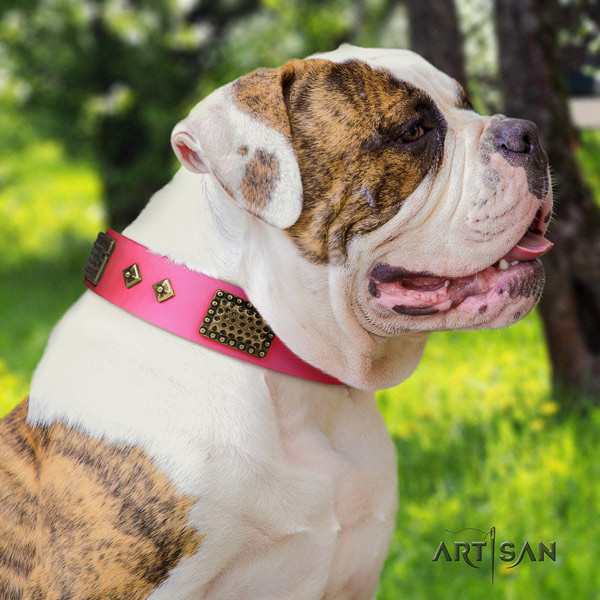 American Bulldog adorned leather dog collar with unique adornments