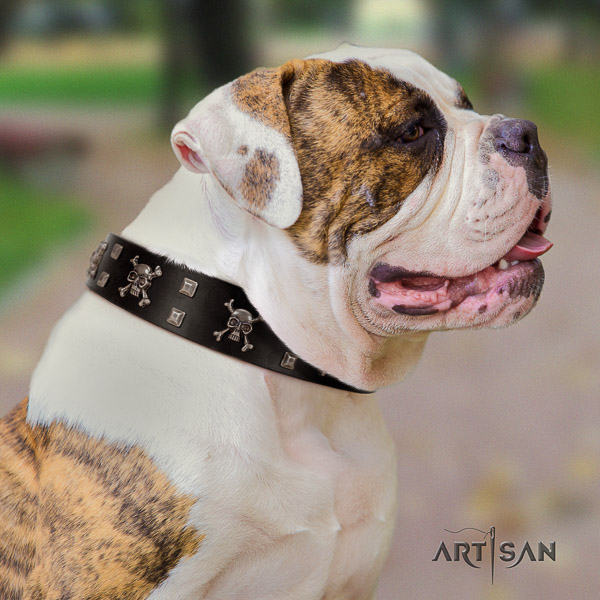 American Bulldog handy use genuine leather collar with decorations for your dog