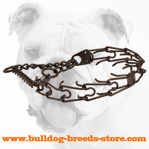 Get Black Stainless Steel Bulldog Prong Collar Dog Walking
