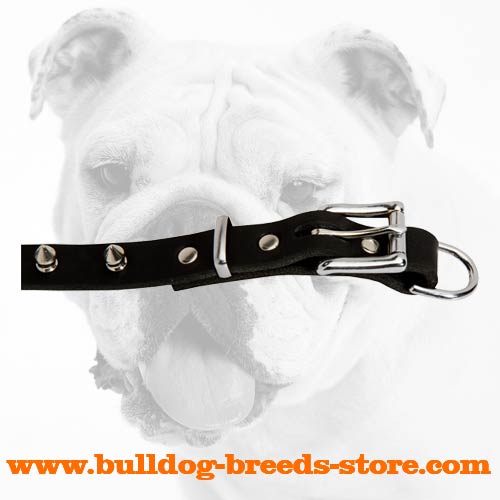 Buckle of Adjustable Leather Bulldog Collar