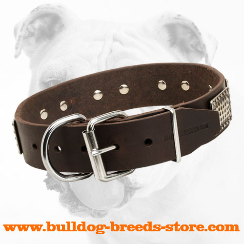 Strong Buckle of Training Leather Bulldog Collar