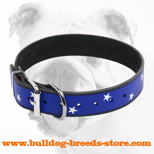 American Pride Walking Leather Bulldog Collar with Nickel Buckle