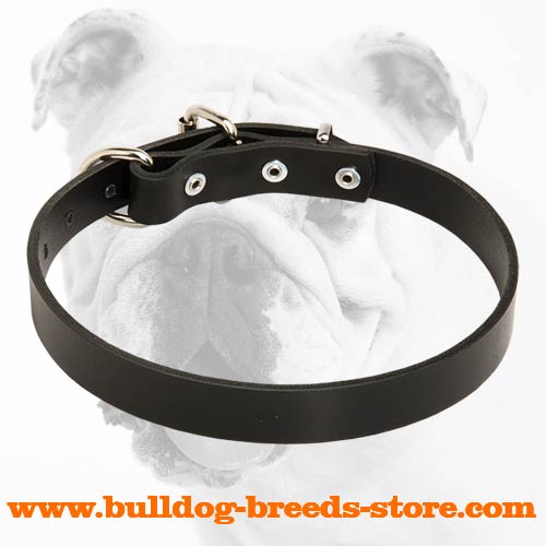 High Quality Training Leather Bulldog Collar