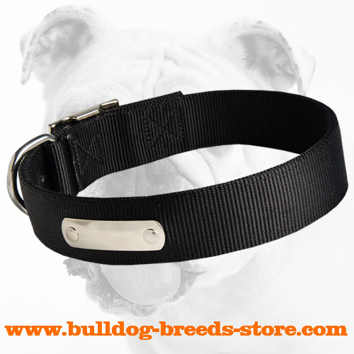 Wide Training Nylon Bulldog Collar with ID Tag