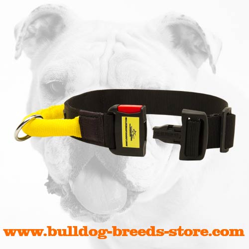 Super Strong Nylon Bulldog Collar with Quick Release Buckle
