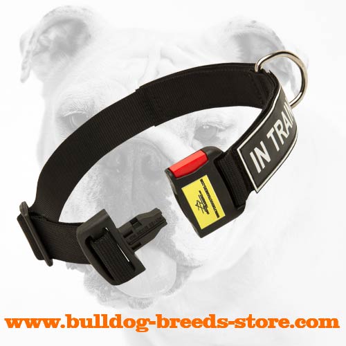 Nylon Bulldog Collar for Obedience Training with Quick Release Buckle