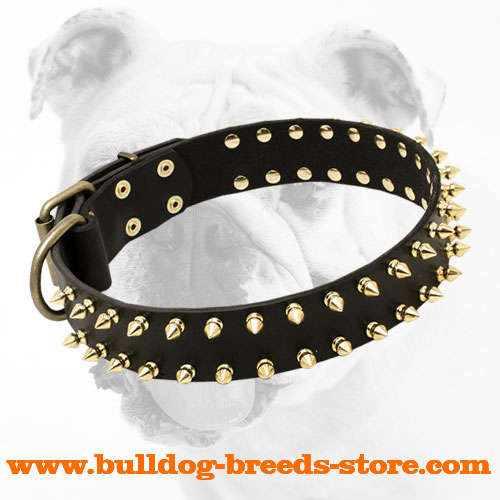 Brass Spiked Adjustable Leather Bulldog Collar