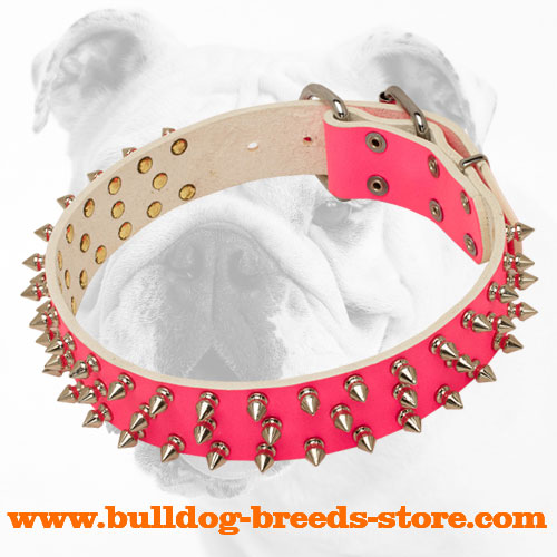 Pink Adjustable Designer Leather Bulldog Collar