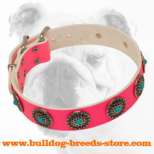Fancy Pink Designer Training Leather Bulldog Collar