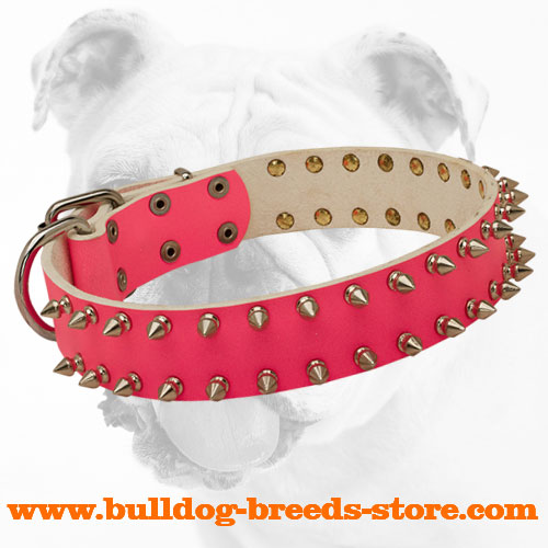 Designer Stylish Pink Spiked Leather Bulldog Collar