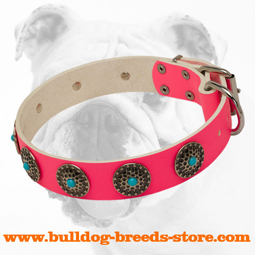 Stylish Walking Fashion Pink Leather Bulldog Collar