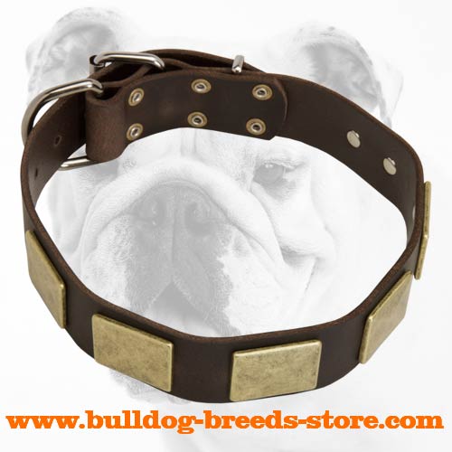 Safe and Comfortable Collar