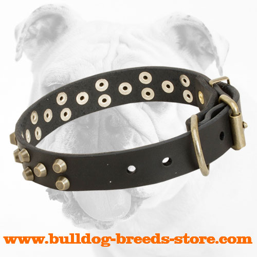 Sophisticated Studded Leather Bulldog Collar with Rust Resistant Hardware