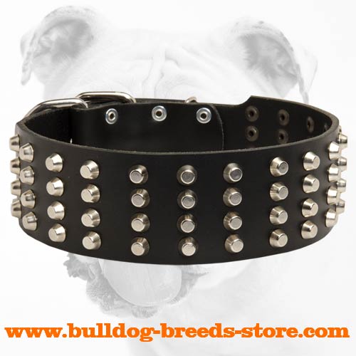 Designer Wide Studded Leather Bulldog Collar for Training