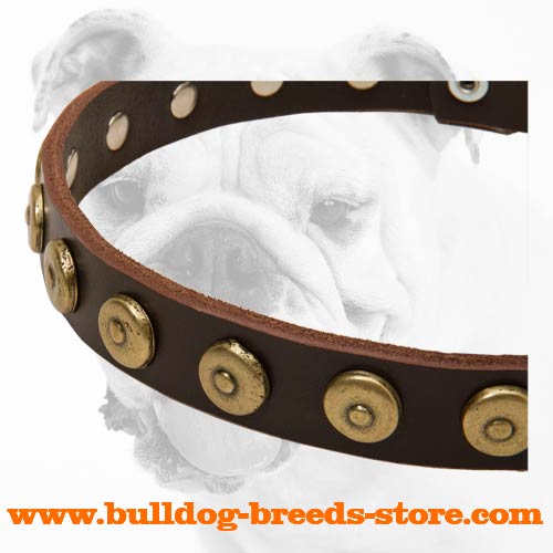 Superb Training Leather Dog Collar for Bulldog with Dotted Circles