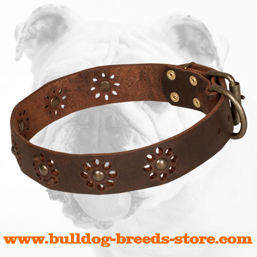 Designer Walking Brown Leather Bulldog Collar with Flower Decor