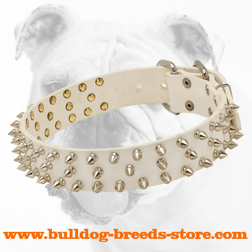 White Leather Bulldog Collar with Three Rows of Shiny Spikes