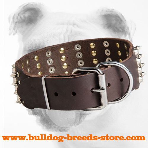 Stylish Leather Bulldog Collar with Nickel Plated Buckle