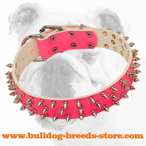 Pink Walking Spiked Leather Bulldog Collar