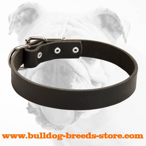 Comfortable Walking Leather Bulldog Collar