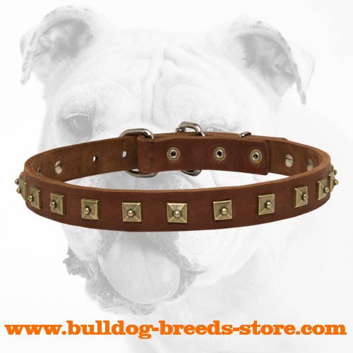 Top Quality Walking Leather Bulldog Collar