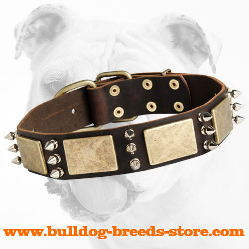 Walking Leather Bulldog Collar with Spikes and Plates