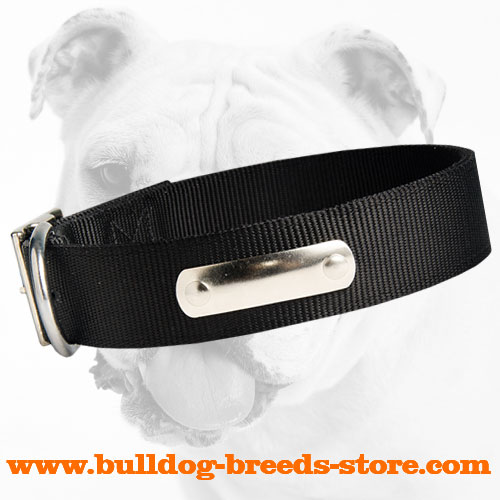 Nylon Dog Collar for Bulldog Walking