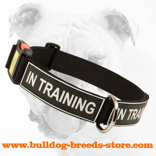 Easy to Adjust Nylon Dog Collar for Bulldog with Patches