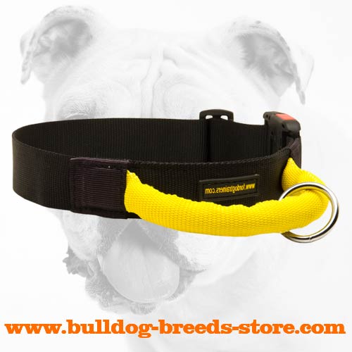 Training Nylon Bulldog Collar with Handle