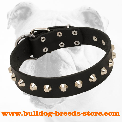 Hand-made Studded Leather Bulldog Collar
