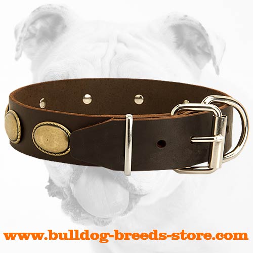 Genuine Leather Bulldog Collar with Reliable Hardware