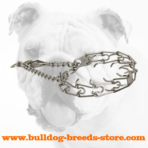 Training Chrome Plated Dog Pinch Collar for Bulldogs