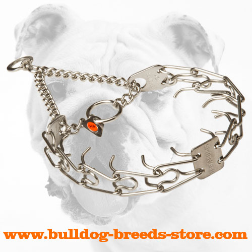 Stainless Steel Bulldog Pinch Collar for Obedience Training