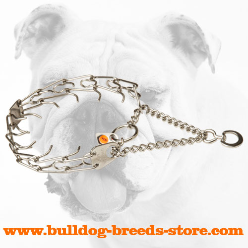 Stainless Steel Bulldog Prong Collar for Behavior Correction