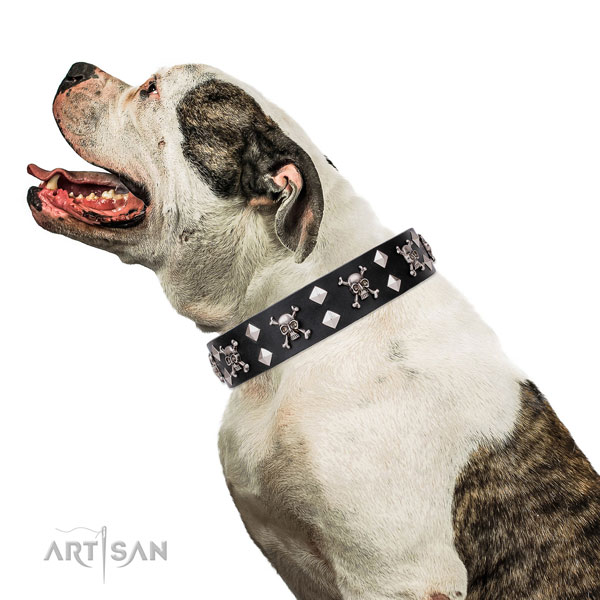 Bulldog inimitable genuine leather dog collar for easy wearing