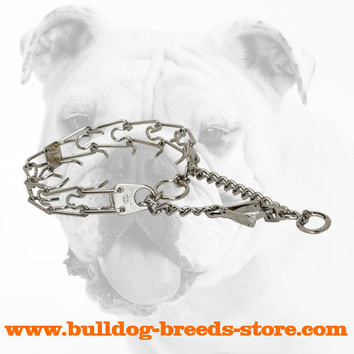 Practical Chrome Plated Dog Pinch Collar Collar for Bulldogs