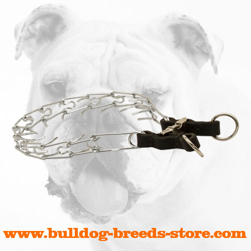 Chrome Plated Steel Bulldog Pinch Collar for Training