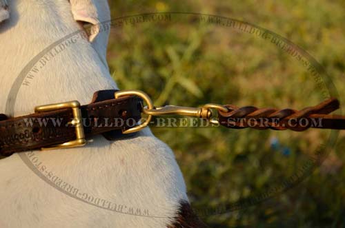 High Quality D-Ring on Braided Leather Bulldog Collar