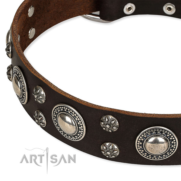 Easy to adjust leather dog collar with resistant to tear and wear durable fittings