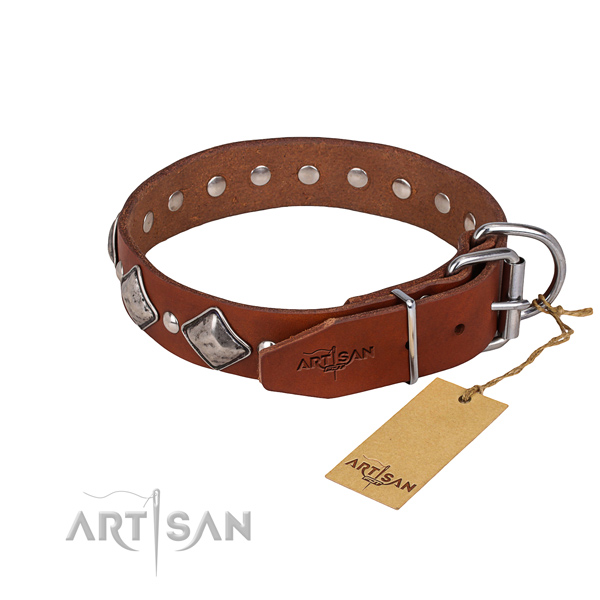Tough leather dog collar with rust-resistant fittings