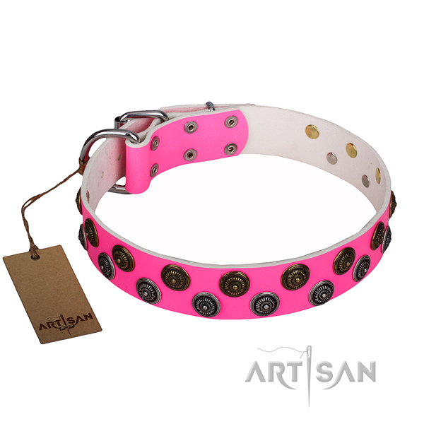Significant genuine leather dog collar for walking