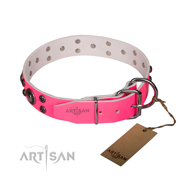 Daily walking full grain natural leather collar with reliable buckle and D-ring