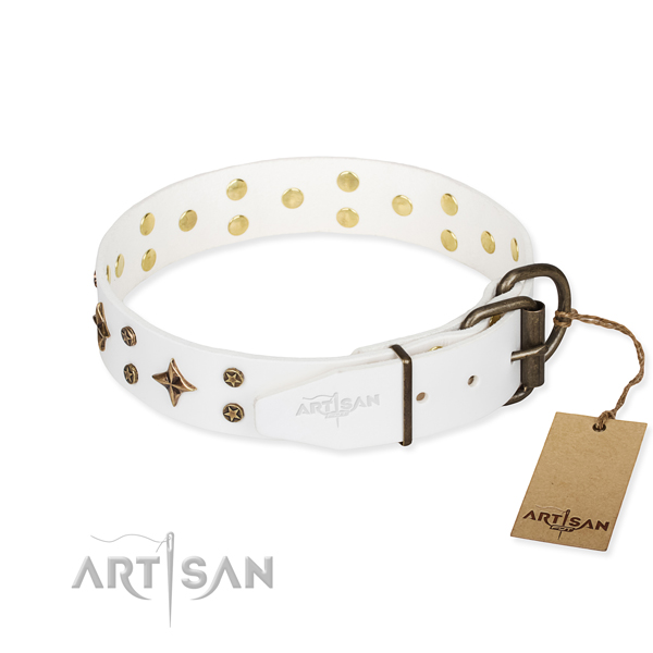Stylish walking full grain leather collar with decorations for your doggie