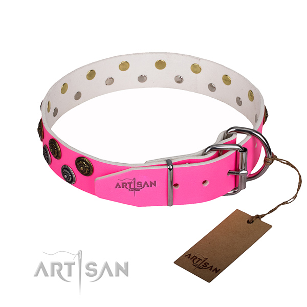 Everyday walking genuine leather collar with embellishments for your canine