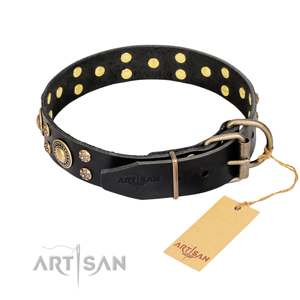 Stylish walking full grain natural leather collar with studs for your canine