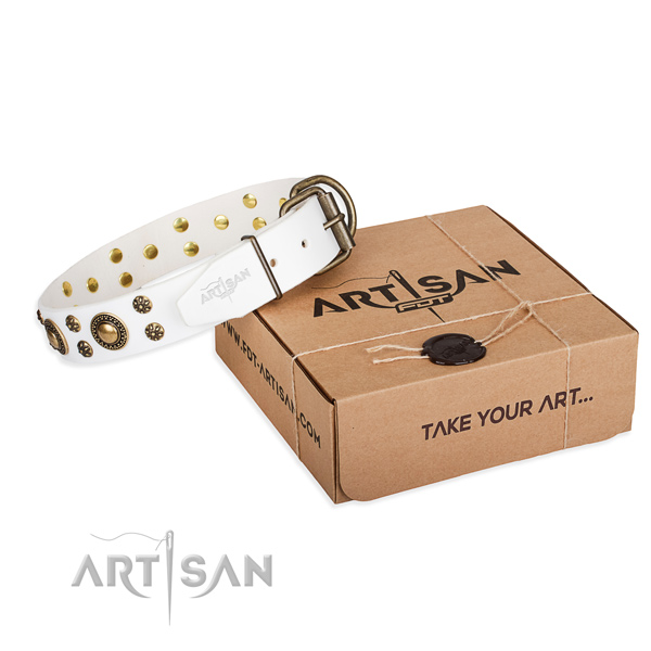 Full grain natural leather dog collar with adornments for everyday use
