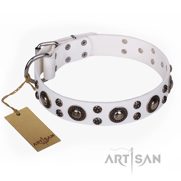 Exceptional leather dog collar for daily walking